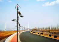 Professional Wind And Solar Hybrid Street Light System 80W Solar Panel